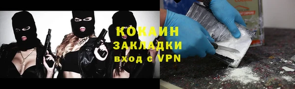 сатива Балахна