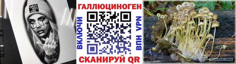 Галлюциногенные грибы MAGIC MUSHROOMS Онега